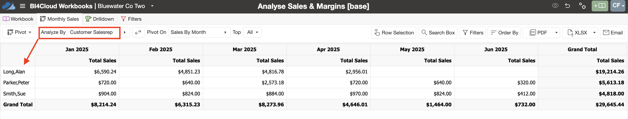 Salesperson 01 - cust sales rep.png
