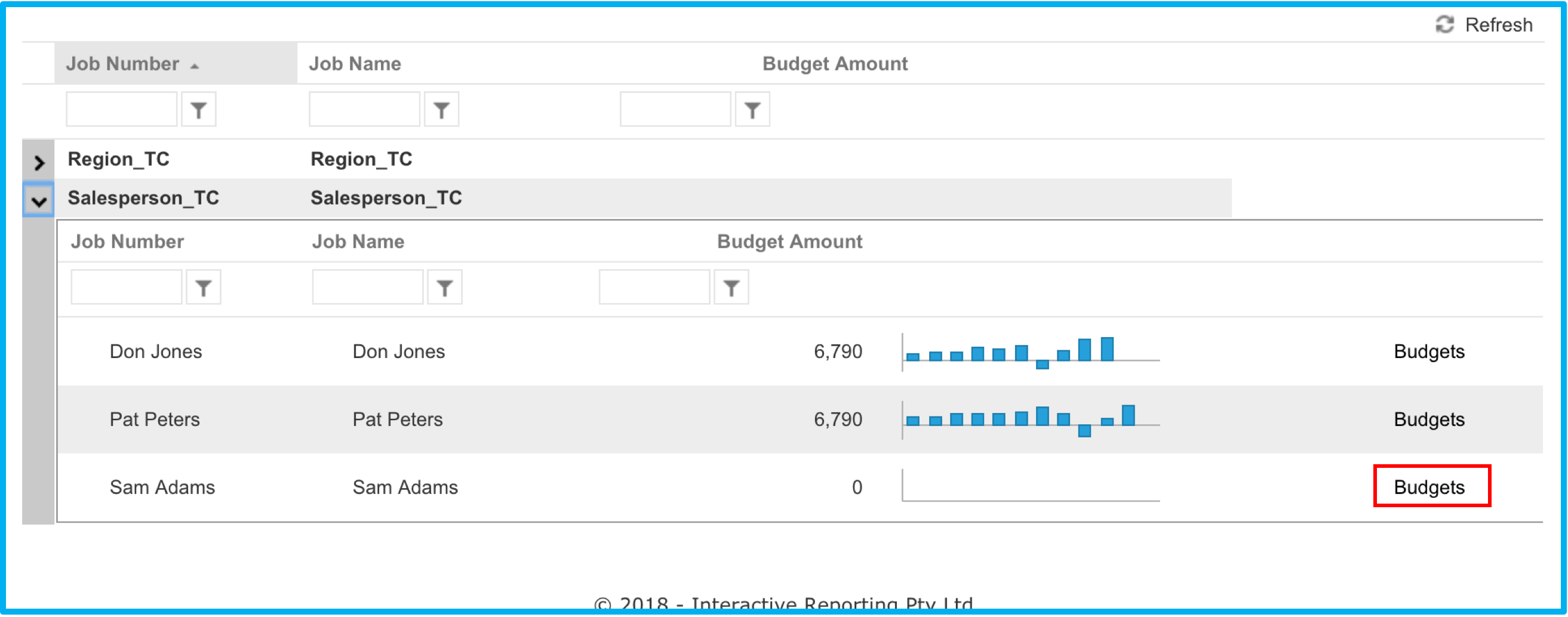 xero accounting categories